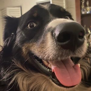 Meet your Posher, Chapman